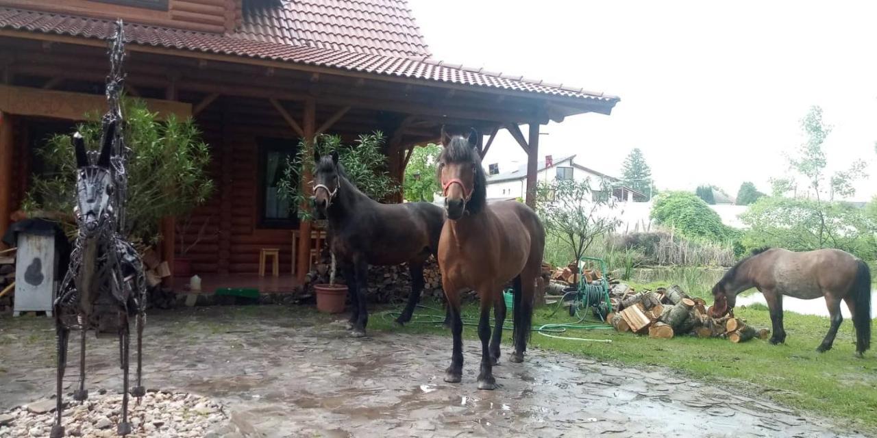 Dom Argyelus - Argyelus Haz - Fesztypark Hotel Martovce Eksteriør billede